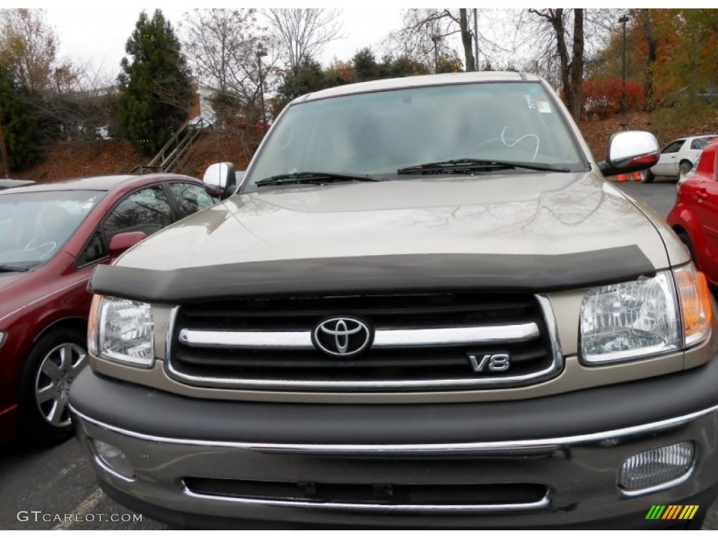 2002 Tundra SR5 Access Cab 4x4 - Desert Sand / Oak photo #2