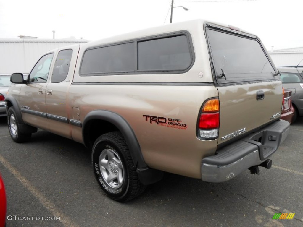 2002 Tundra SR5 Access Cab 4x4 - Desert Sand / Oak photo #4