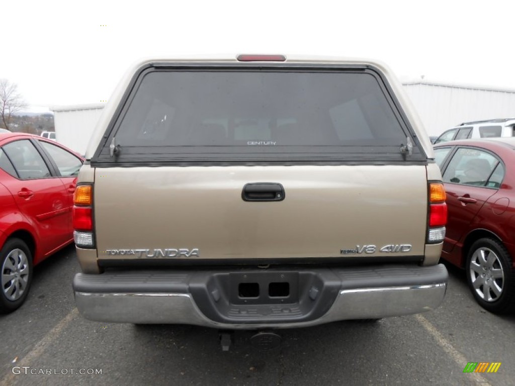 2002 Tundra SR5 Access Cab 4x4 - Desert Sand / Oak photo #5