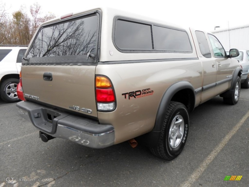 2002 Tundra SR5 Access Cab 4x4 - Desert Sand / Oak photo #6