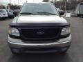 2002 Dark Highland Green Metallic Ford F150 XLT SuperCrew 4x4  photo #2