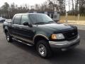 2002 Dark Highland Green Metallic Ford F150 XLT SuperCrew 4x4  photo #3