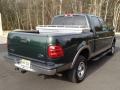2002 Dark Highland Green Metallic Ford F150 XLT SuperCrew 4x4  photo #13