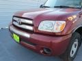 2006 Salsa Red Pearl Toyota Tundra SR5 Access Cab  photo #9