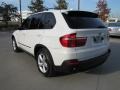 Alpine White - X5 3.0si Photo No. 8