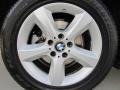 Alpine White - X5 3.0si Photo No. 41