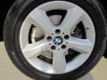Alpine White - X5 3.0si Photo No. 43