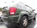 Jeep Green Metallic - Grand Cherokee Laredo Photo No. 3
