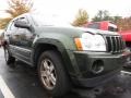 Jeep Green Metallic - Grand Cherokee Laredo Photo No. 4