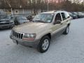 2000 Champagne Pearlcoat Jeep Grand Cherokee Laredo 4x4  photo #11