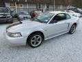 2001 Silver Metallic Ford Mustang GT Coupe  photo #10