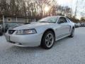2001 Silver Metallic Ford Mustang GT Coupe  photo #27