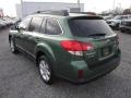 2013 Cypress Green Pearl Subaru Outback 2.5i Premium  photo #5