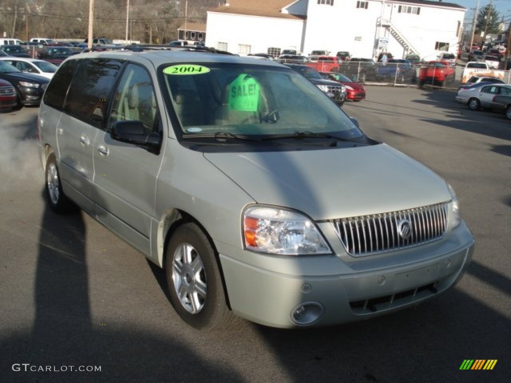 Silver Birch Metallic Mercury Monterey