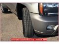 Graystone Metallic - TrailBlazer LT 4x4 Photo No. 9