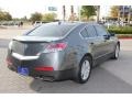 2009 Polished Metal Metallic Acura TL 3.5  photo #7