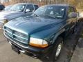 2000 Aquamarine Metallic Dodge Durango SLT 4x4  photo #4