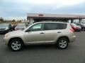 Beige Metallic - RAV4 4WD Photo No. 6