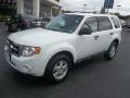 2011 White Suede Ford Escape XLT V6  photo #47