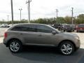 2013 Mineral Gray Metallic Ford Edge Limited  photo #11