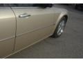 Linen Gold Metallic - 300 C HEMI Photo No. 7