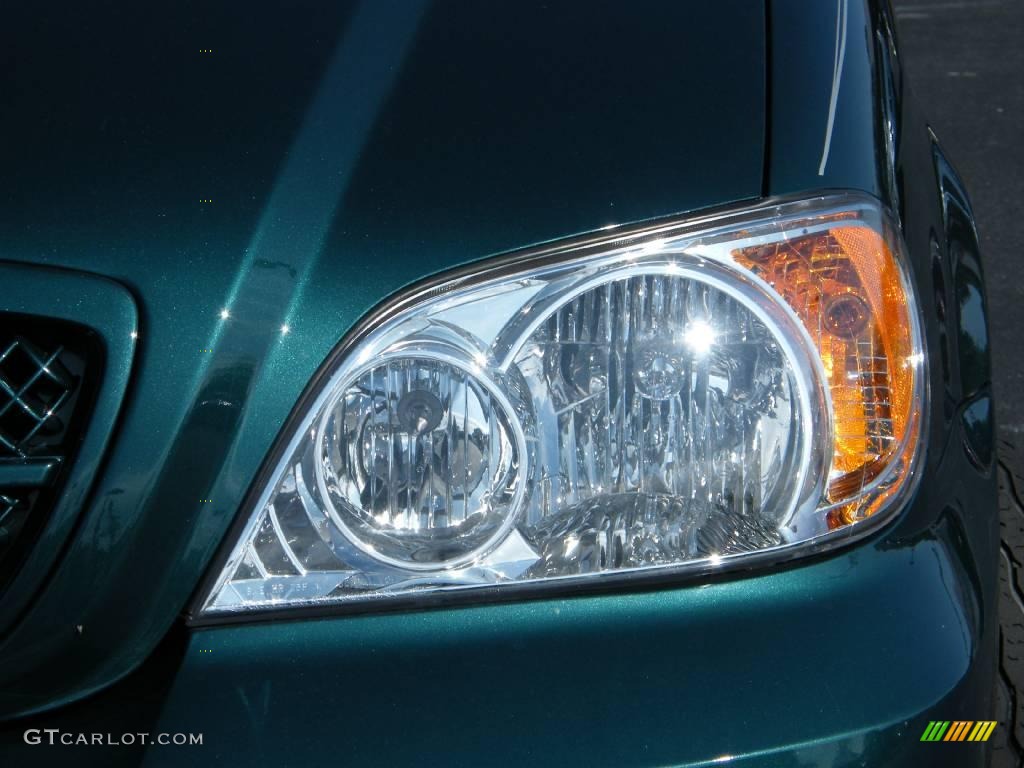 2005 Sedona LX - Dark Green Emerald Metallic / Gray photo #9