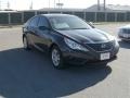 2013 Pacific Blue Pearl Hyundai Sonata GLS  photo #8