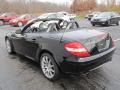 Black - SLK 350 Roadster Photo No. 8