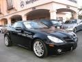 2009 Black Mercedes-Benz SLK 300 Roadster  photo #21