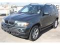 Highland Green Metallic - X5 3.0i Photo No. 3