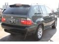Highland Green Metallic - X5 3.0i Photo No. 6