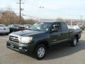 Timberland Green Mica - Tacoma Access Cab Photo No. 3