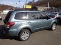 2013 Sage Green Metallic Subaru Forester 2.5 X Premium  photo #4