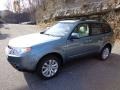 2013 Sage Green Metallic Subaru Forester 2.5 X Premium  photo #8