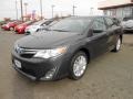 Magnetic Gray Metallic - Camry Hybrid XLE Photo No. 3