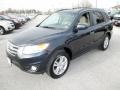 2012 Pacific Blue Pearl Hyundai Santa Fe Limited  photo #8