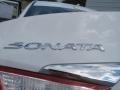 Shimmering White - Sonata GLS Photo No. 13