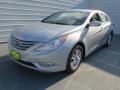 Radiant Silver - Sonata GLS Photo No. 6