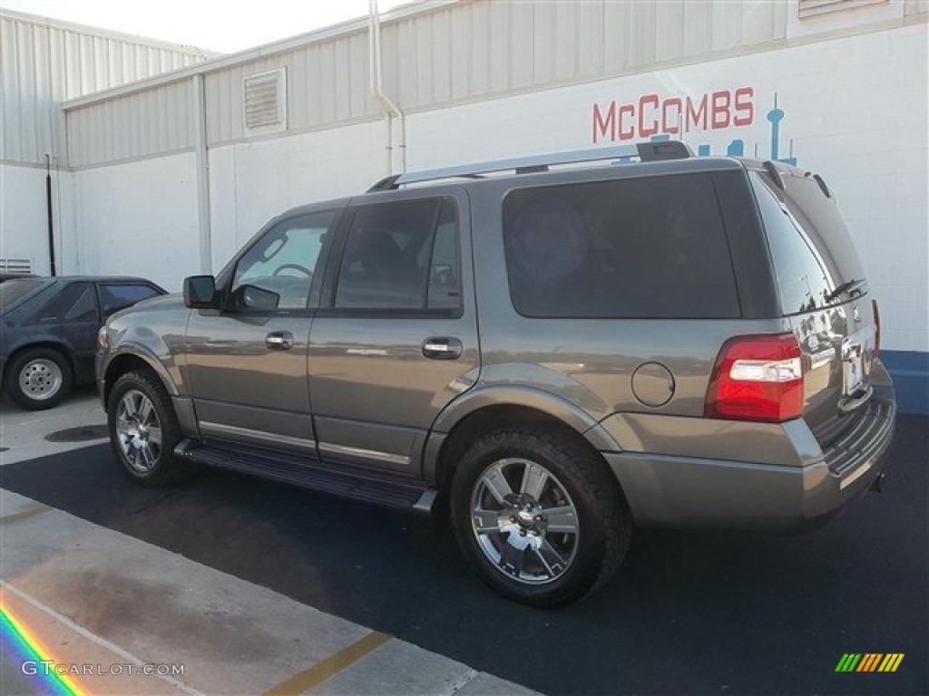 2010 Expedition Limited - Sterling Grey Metallic / Charcoal Black photo #3