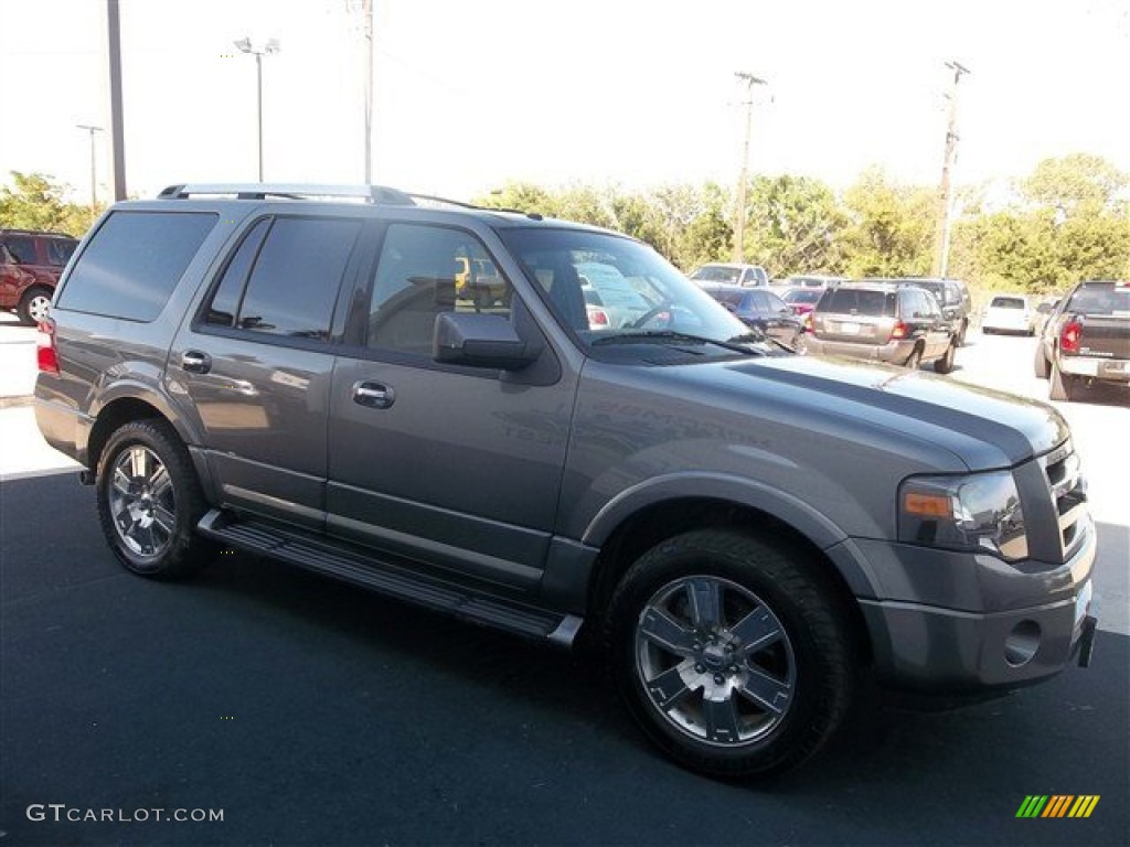 2010 Expedition Limited - Sterling Grey Metallic / Charcoal Black photo #13