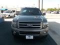 2010 Sterling Grey Metallic Ford Expedition Limited  photo #19