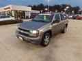 Graystone Metallic - TrailBlazer LS Photo No. 1