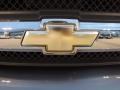 Graystone Metallic - TrailBlazer LS Photo No. 22
