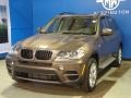 2012 Sparkling Bronze Metallic BMW X5 xDrive35i Premium  photo #4