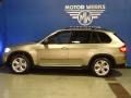 2011 Platinum Bronze Metallic BMW X5 xDrive 35d  photo #5