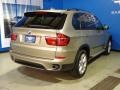 2011 Platinum Bronze Metallic BMW X5 xDrive 35d  photo #9