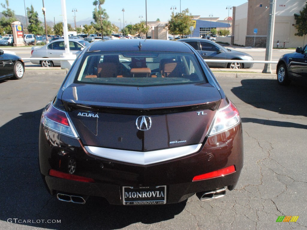 2009 TL 3.7 SH-AWD - Mayan Bronze Metallic / Umber/Ebony photo #12