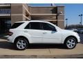 Arctic White - ML 350 4Matic Photo No. 8