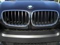 Black Sapphire Metallic - X5 xDrive30i Photo No. 6