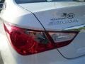 Shimmering White - Sonata GLS Photo No. 11